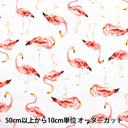 【数量5から】 生地 『ブロード フラミンゴ ホワイト 4235-1-1』