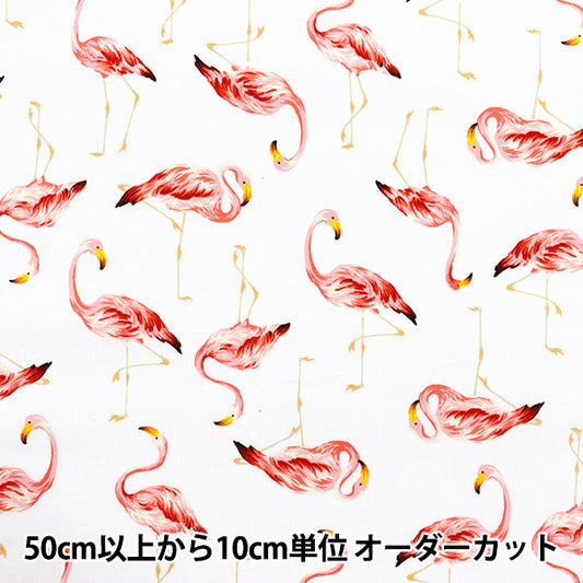 [Quantité à partir de 5] Tissu 『ブロード フラミンゴ ホワイト 4235-1-1"