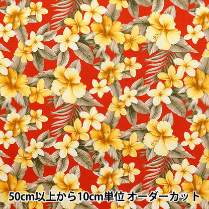 [Quantité à partir de 5] Tissu "Broad Hibiscus rouge 4236-1-4"
