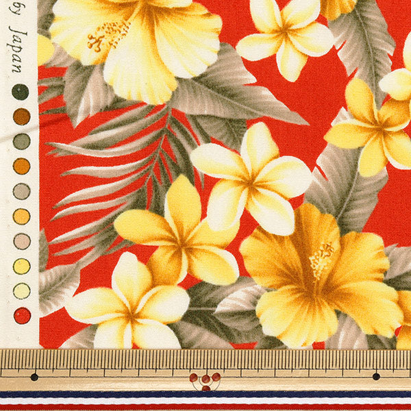 [Quantité à partir de 5] Tissu "Broad Hibiscus rouge 4236-1-4"