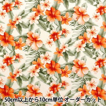 [Quantité à partir de 5] Tissu "Broad Hibiscus Beige 4236-1-5"