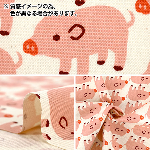 [الكمية من 5] الأقمشة "أكسفورد قطن غير مبيض Boo Boo Pig Navy B850576Z-1-4”