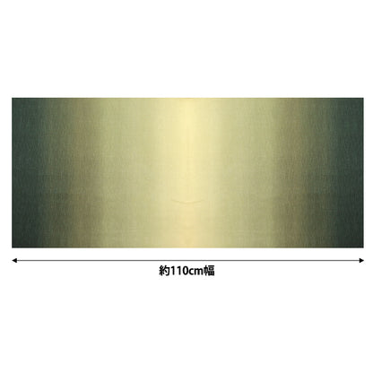 [Quantité à partir de 5] Tissu "Gradient Print Dark Green DD11216S-107"