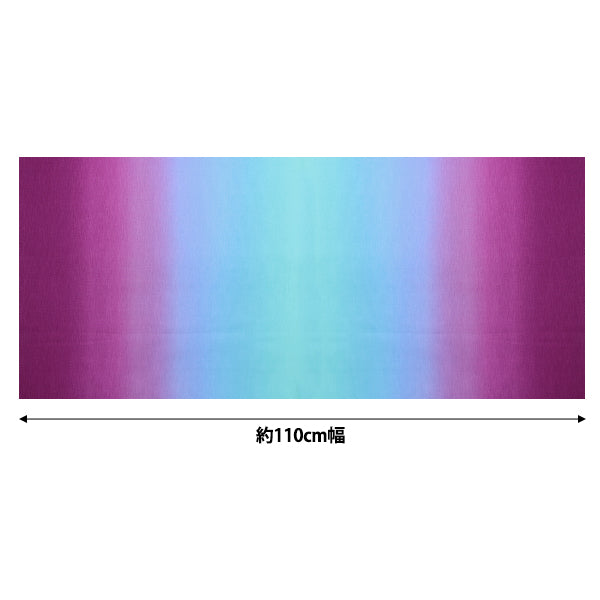 [Cantidad a partir de 5] Tela "PRISA PURPULE PURPULE X MIZUIRO DD11216S-203"