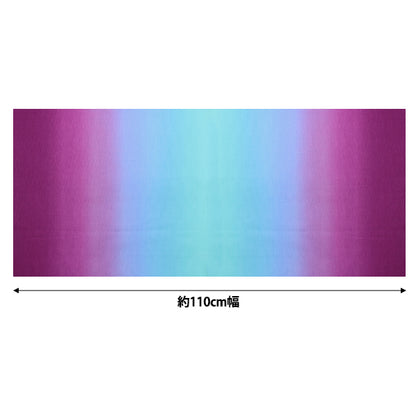 [Cantidad a partir de 5] Tela "PRISA PURPULE PURPULE X MIZUIRO DD11216S-203"