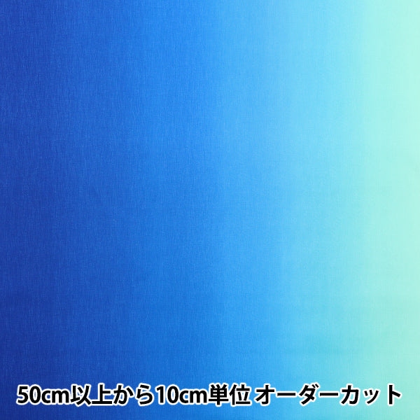 [Quantité à partir de 5] Tissu "Impression de gradient AO DD11216S-501"