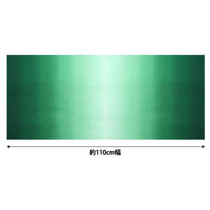 [Quantité à partir de 5] Tissu "Impression de gradient Midori DD11216S-505"