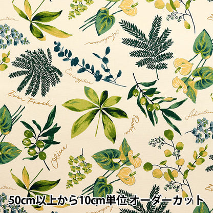 [Menge ab 5] Stoff 『Oxford Hauspflanzen Elfenbein x Grün SC10672S-A"