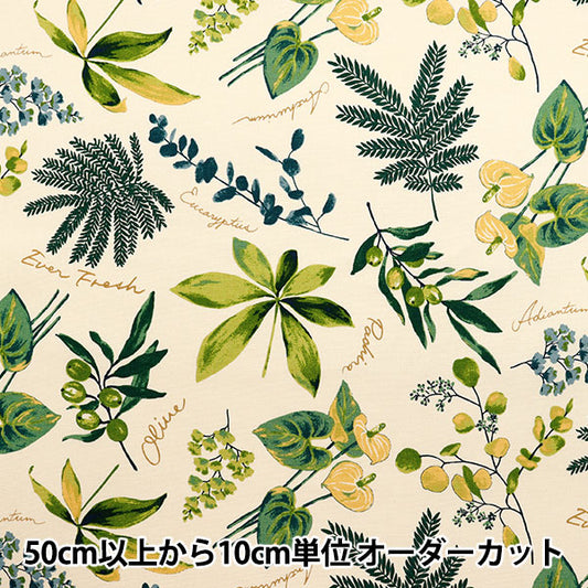 [Cantidad a partir de 5] Tela 『Oxford Plantas de casa marfil x verde sc10672s-a"