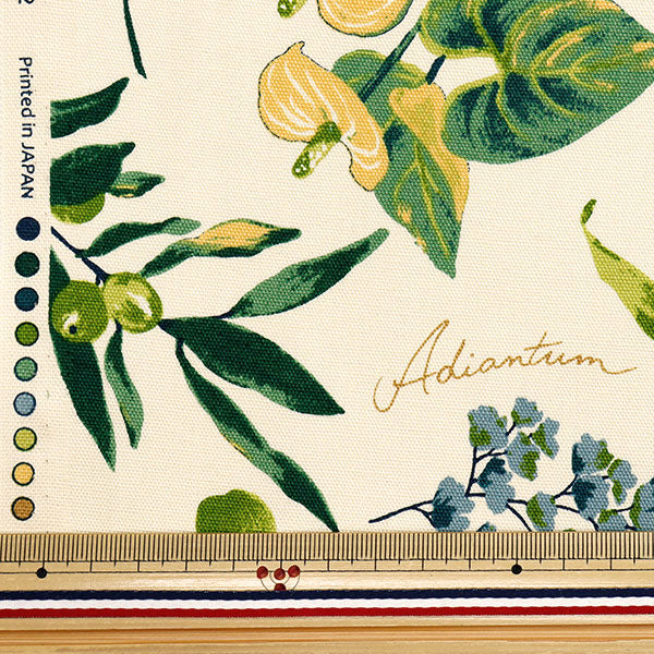 [Menge ab 5] Stoff 『Oxford Hauspflanzen Elfenbein x Grün SC10672S-A"