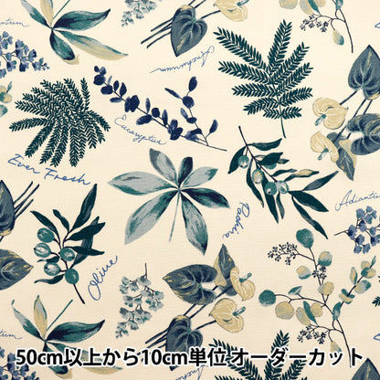 [الكمية تبدأ من 5] الأقمشة 『أكسفورد منزل نباتات العاج x الأزرق SC10672S-B"