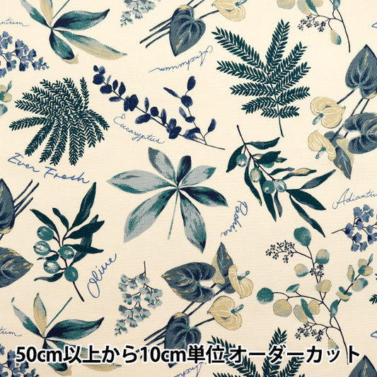 [Cantidad a partir de 5] Tela 『Oxford Plantas de casa marfil x azul sc10672s-b"