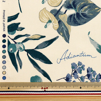 [الكمية تبدأ من 5] الأقمشة 『أكسفورد منزل نباتات العاج x الأزرق SC10672S-B"