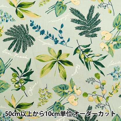 [Quantità a partire da 5] Tessuto 『Oxford Piante di casa Mint SC10672S-C"