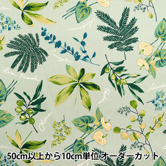 [Cantidad a partir de 5] Tela 『Oxford Plantas domésticas mint sc10672s-c"