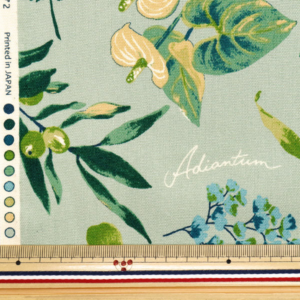 [Quantità a partire da 5] Tessuto 『Oxford Piante di casa Mint SC10672S-C"