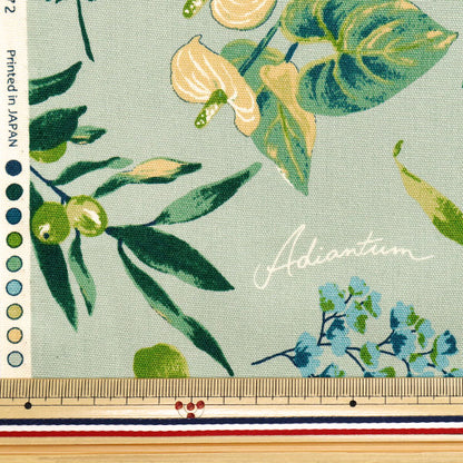 [Quantità a partire da 5] Tessuto 『Oxford Piante di casa Mint SC10672S-C"