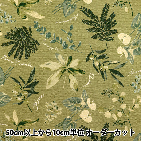 [5부터 시작하는 수량] 천・원단 『옥스 하우스 플랜트 올리브 SC10672S-d"