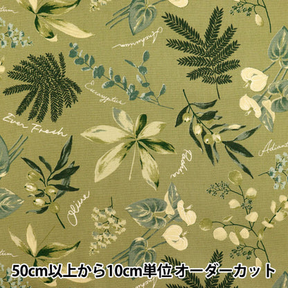 [5부터 시작하는 수량] 천・원단 『옥스 하우스 플랜트 올리브 SC10672S-d"