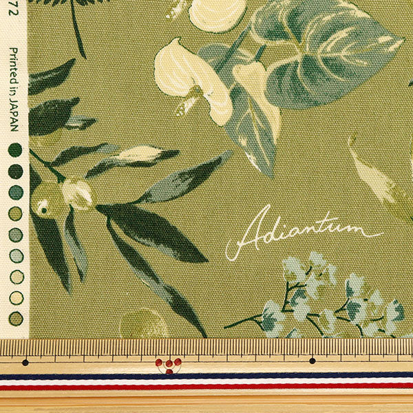 [5부터 시작하는 수량] 천・원단 『옥스 하우스 플랜트 올리브 SC10672S-d"