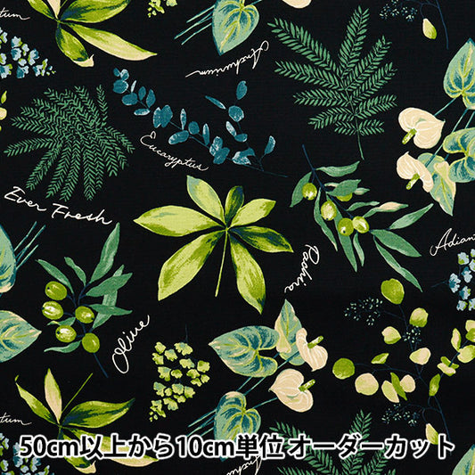 [Cantidad a partir de 5] Tela 『Oxford Plantas de la casa Black SC10672S-E"