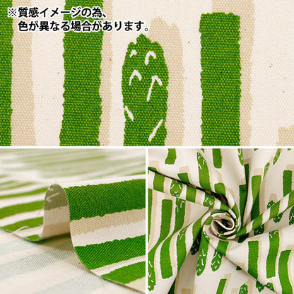 【数量5起】 織物 『牛津布 芦笋条纹黄色绿色85052-1-3"