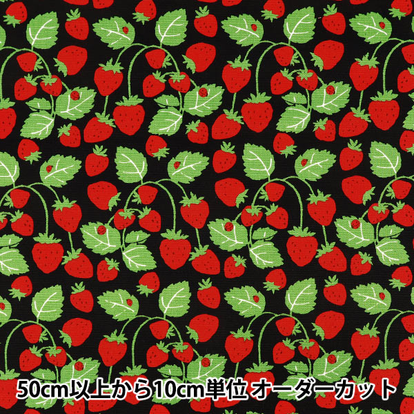 [Quantità da 5] Tessuto "Oxford Festa delle fragole Campo di fragole Nero B850593Z-1-4”