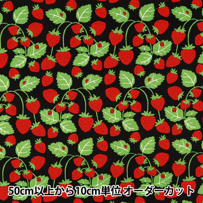 [Quantità da 5] Tessuto "Oxford Festa delle fragole Campo di fragole Nero B850593Z-1-4”