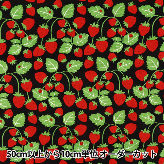 [Cantidad desde 5] Tela "Oxford Fiesta de fresas Campo de fresas Negro B850593Z-1-4”