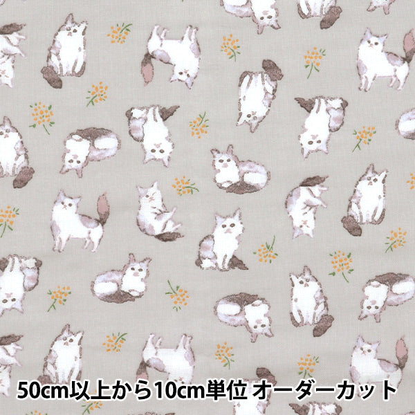 [Quantità a partire da 5] Tessuto 『doppia garza Fulfig Cat Grey 142-1363-A4"