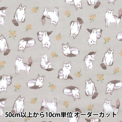 [Quantità a partire da 5] Tessuto 『doppia garza Fulfig Cat Grey 142-1363-A4"