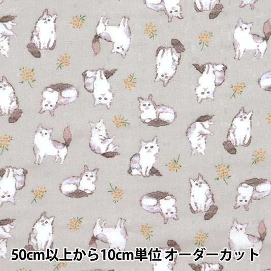 [Cantidad a partir de 5] Tela 『gasa doble Fulfig Cat Gray 142-1363-A4"