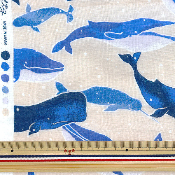 [Quantità a partire da 5] Tessuto 『doppia garza Fulfig Whale Beige 142-1363-C1"