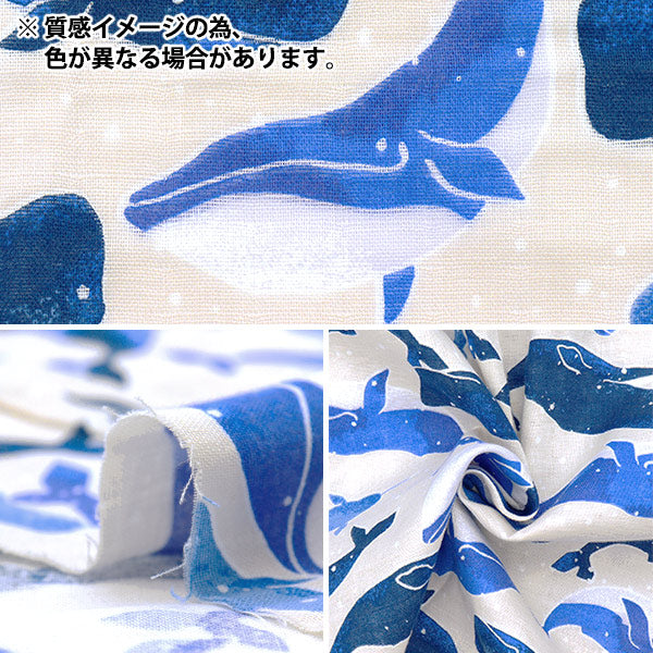 空飛ぶクジラ柄【オーダー生地見本】 クジラとリボン（ブルー）クジラ柄- 布・生地の通販サイト：nunocoto