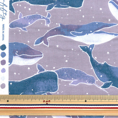 [Quantità a partire da 5] Tessuto 『doppia garza Fulfig Whale Purple 142-1363-C3"