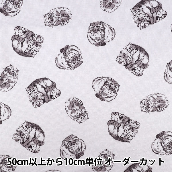 [Quantità da 5] Tessuto "Oxford Stampa animale adulto Manul Cat Pattern Grigio 142-1367-A2"
