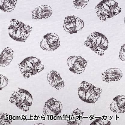 [Quantità da 5] Tessuto "Oxford Stampa animale adulto Manul Cat Pattern Grigio 142-1367-A2"