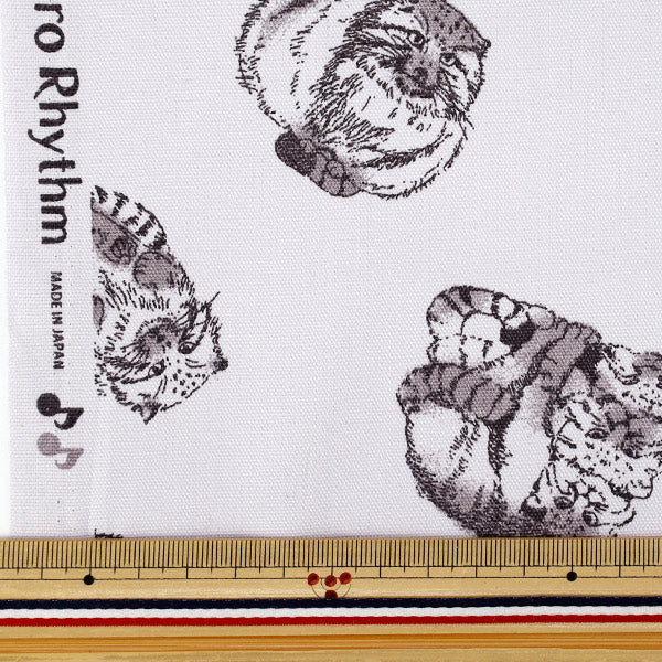 [Quantità da 5] Tessuto "Oxford Stampa animale adulto Manul Cat Pattern Grigio 142-1367-A2"