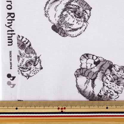 [Quantità da 5] Tessuto "Oxford Stampa animale adulto Manul Cat Pattern Grigio 142-1367-A2"