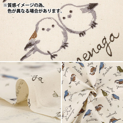 【数量5起】 織物 "牛津布 印花成人动物野鸟图案绿色142-1367-B3”