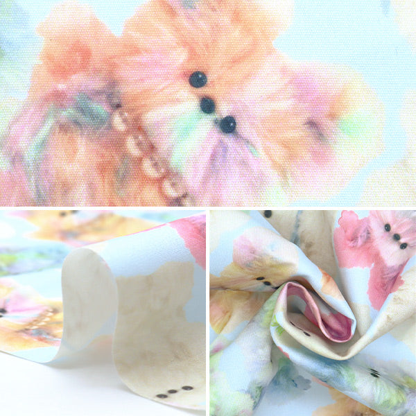 Tela "Imadokikids cortada Tela Aproximadamente 45 cm x 100 cm Rainbow Animal Blue IMAF-21C-BL" KIYOHARA