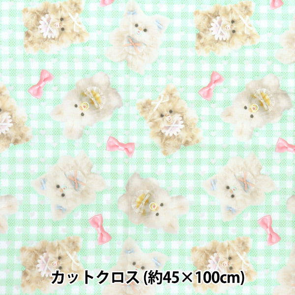 Tessuto "Imadokikids Panno tagliato Circa 45 cm x 100 cm soffice nastro bambino verde imaf-22c-g" KIYOHARA