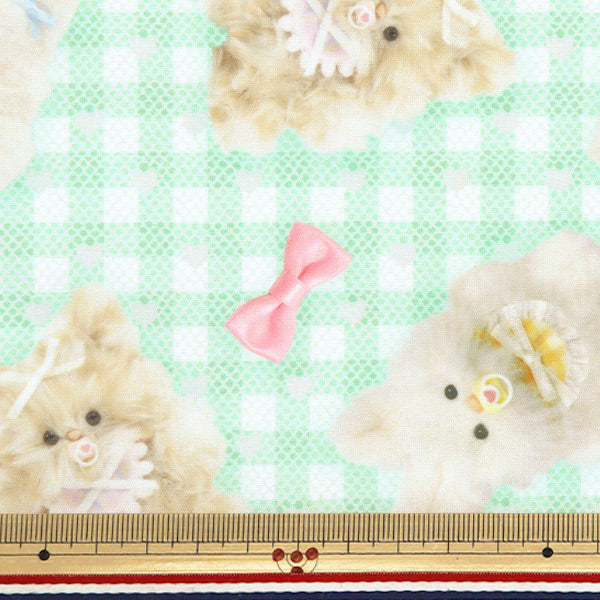 Tessuto "Imadokikids Panno tagliato Circa 45 cm x 100 cm soffice nastro bambino verde imaf-22c-g" KIYOHARA