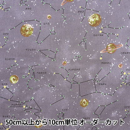 [Quantità a partire da 5] Tessuto "Serie nanicore" Oxford COSTILLAZIONI REPELLE ACQUA CARRIGLIE NNF-17BR"