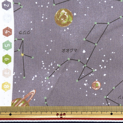 [Quantità a partire da 5] Tessuto "Serie nanicore" Oxford COSTILLAZIONI REPELLE ACQUA CARRIGLIE NNF-17BR"