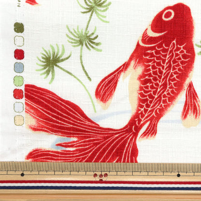 [Quantity starting from 5] Fabric "Dobby Japanese pattern goldfish off 1025-1100-2A"