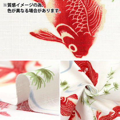 [Quantity starting from 5] Fabric "Dobby Japanese pattern goldfish navy 1025-1100-2D"
