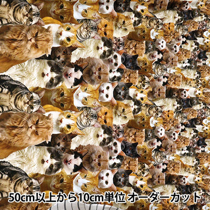 [Cantidad a partir de 5] Tela 『láminas Tinta imprime cat kom-012"