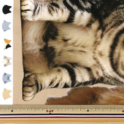 [Cantidad a partir de 5] Tela 『láminas Tinta imprime cat kom-012"