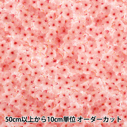 [Cantidad a partir de 5] Tela 『láminas Ink Jet Print Sakura Kom-013"